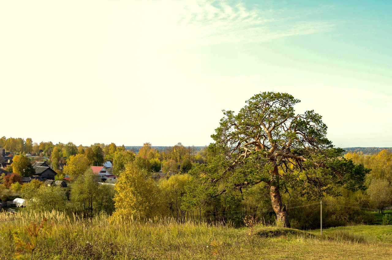 От арестанской каши до чутырских пельменей - Visit Udmurtia