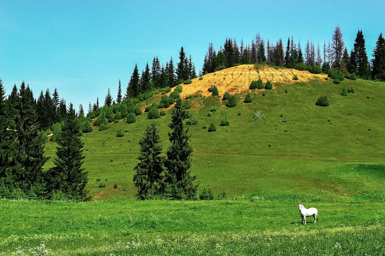 Ключ от Шарканского района - Visit Udmurtia