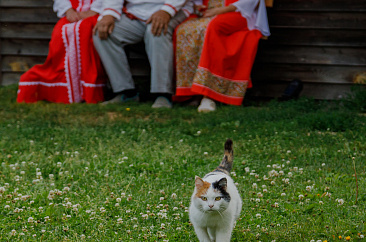 Маршрут по Красногорскому району 