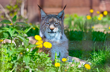 Ночь в зоопарке-2026