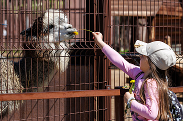 Ура, каникулы! Планируем поездки с детьми по Удмуртии