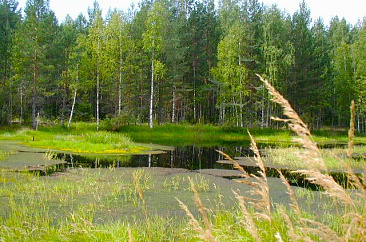 Урочище Валяй