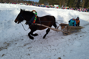 Конный биатлон