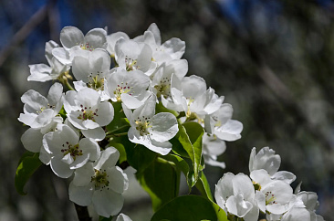 Афиша на май