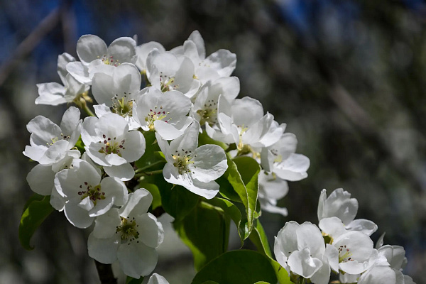 Афиша на май