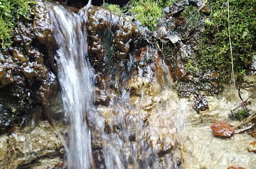 Родник Викурдан