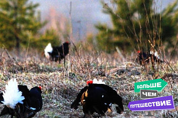 Экотропа «Книга природы», Красногорский район