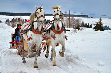 Афиша февраль